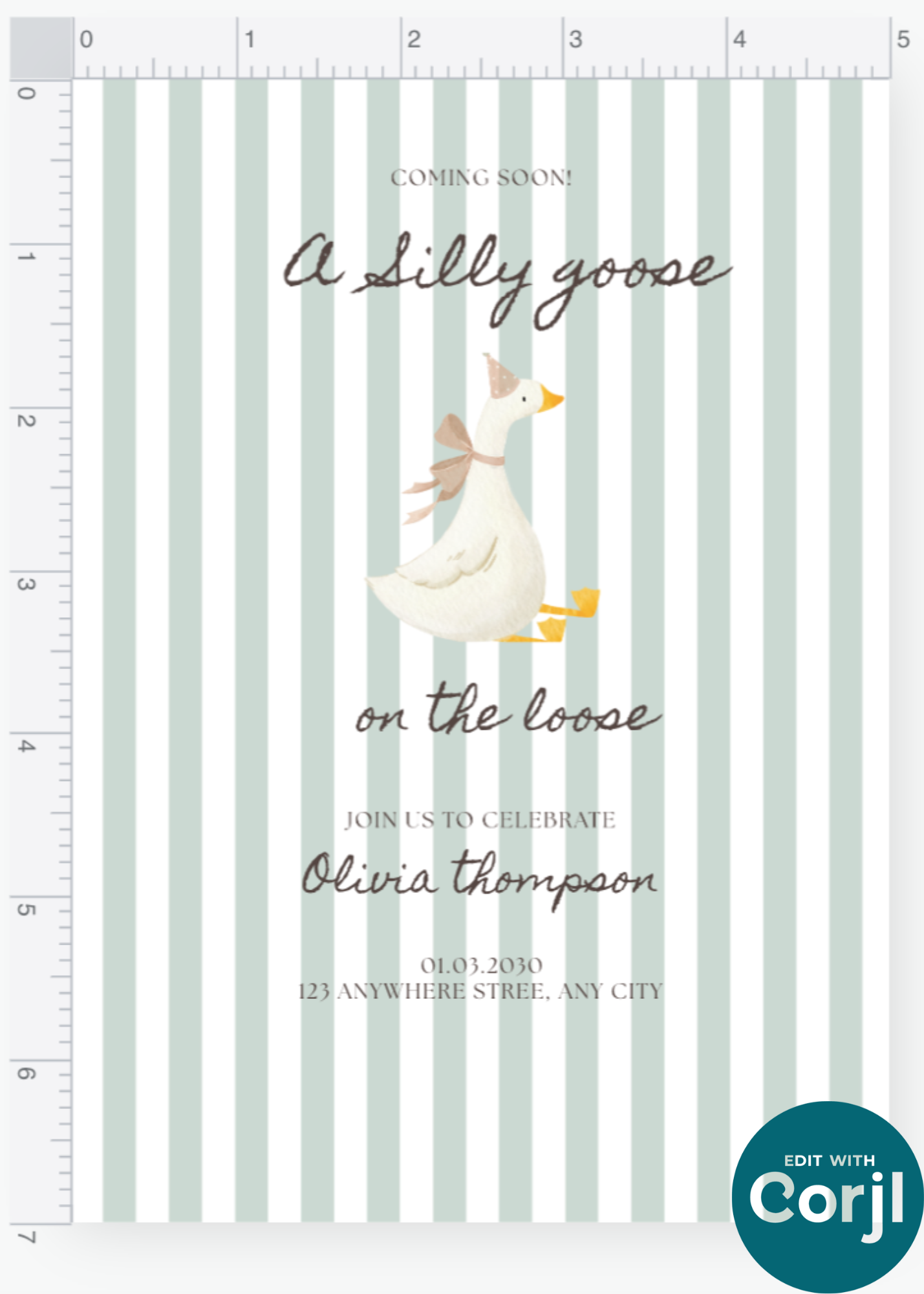Silly Goose Boy Invitation