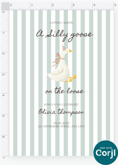 Silly Goose Boy Invitation