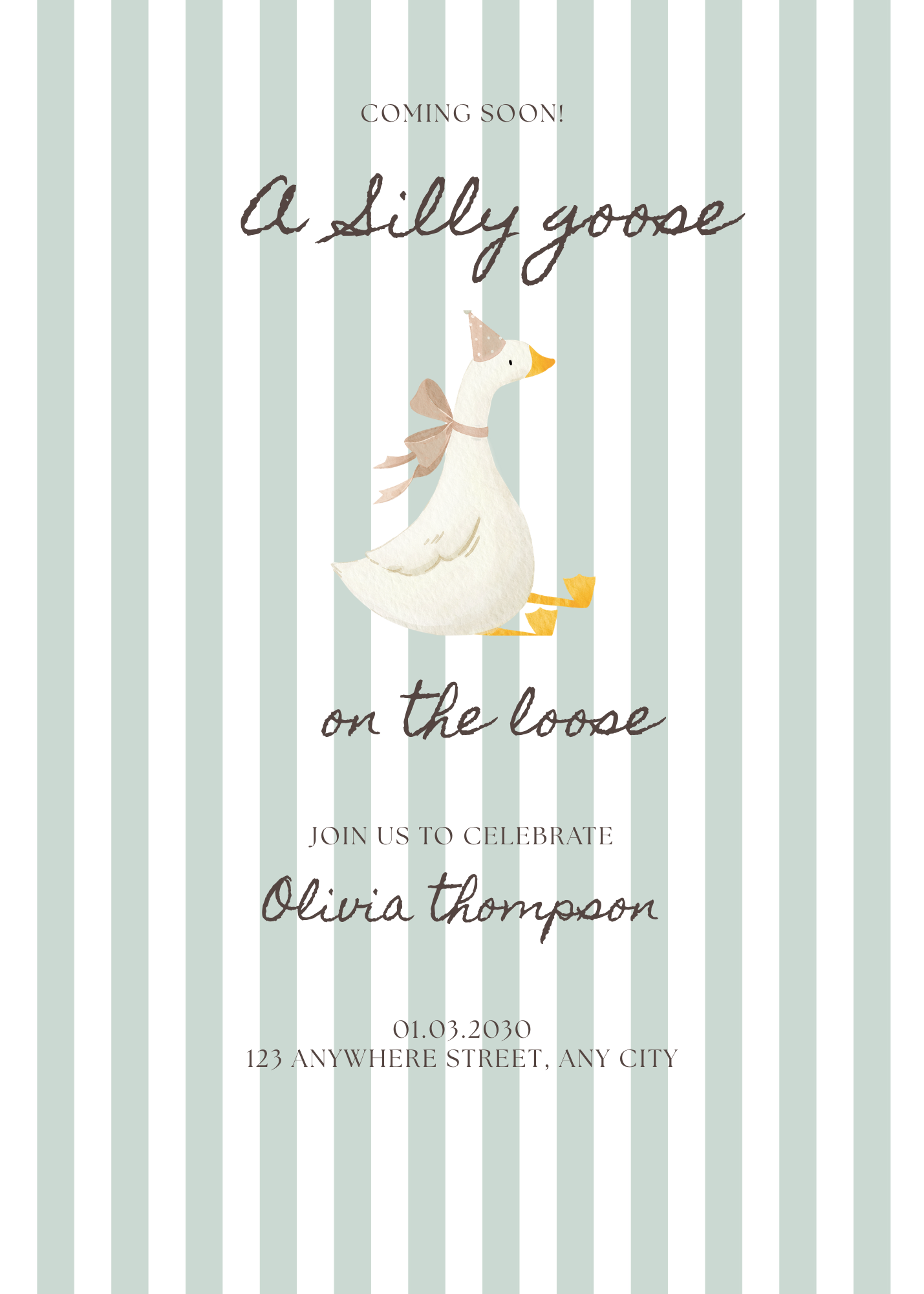 Silly Goose Boy Invitation