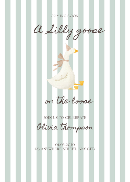Silly Goose Boy Invitation